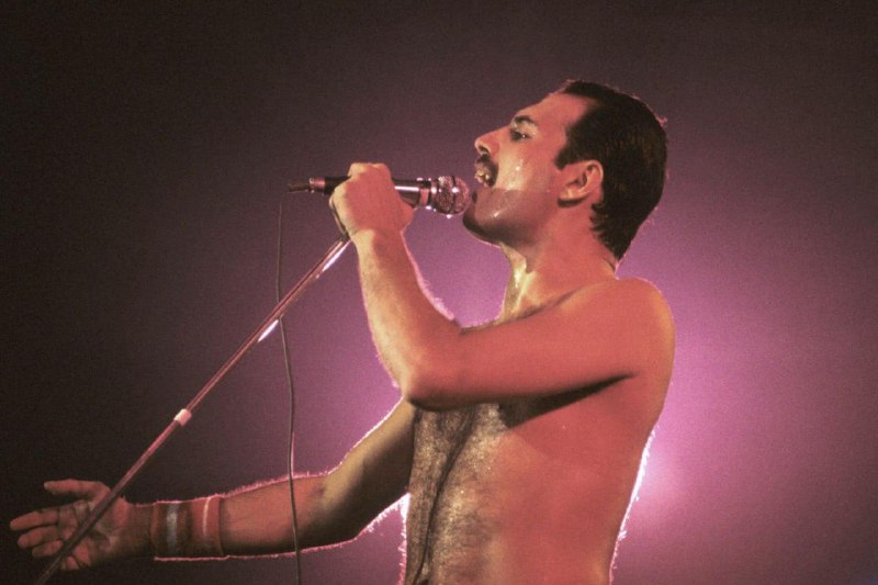 У Фредди Меркьюри была внебрачная дочь.
У вокалиста рок-группы Queen Фредди Меркьюри могла быть доч
