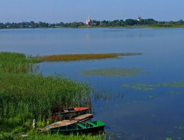 🎼[id446886305|Дмитрий Сафронов]