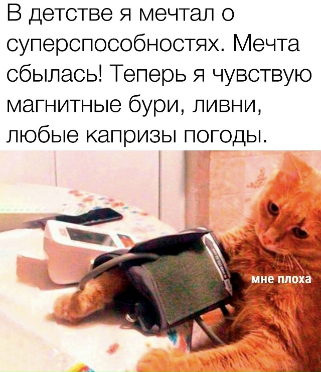 Оплачиваемый больничный для метеозависимых россиян п?...