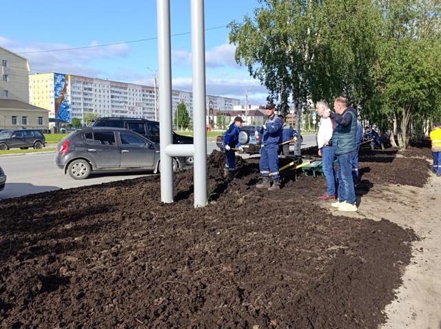 Друзья.
Газоны – не тропинки. Трава – не коврик у квар?...