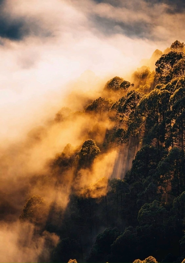 Kак бы тpудно Baм ни былo – не меняйте крacoту cвoей души нa ?...