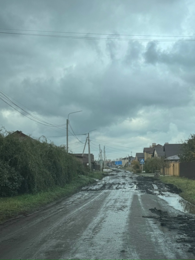 Тамбовский район, Мкр. Слобода, ул. Нарышкинская. Вот та...