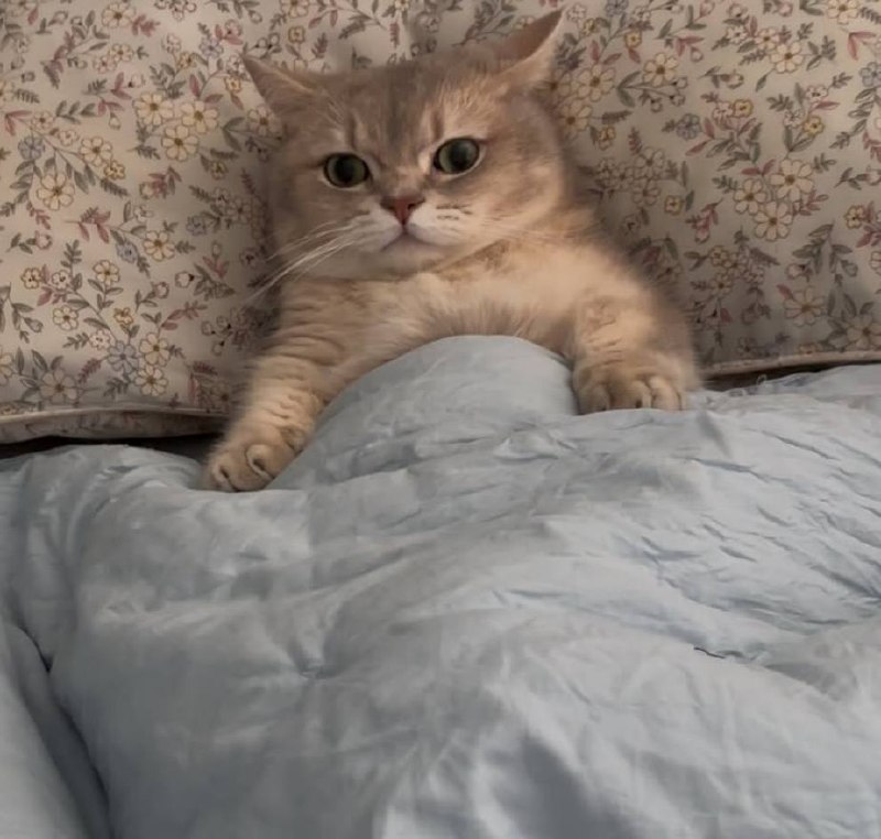 Ну идем уже споть, я же жду тибя в кроватке :3