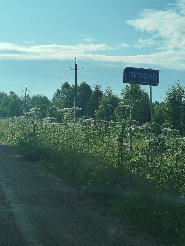 Что на этот раз администрация ответит? Борщевиком вся ?...