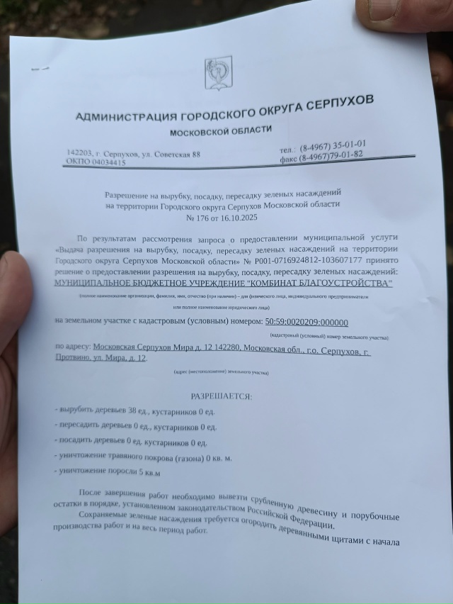 Пост крик души! Не ужели настолько необходим спил живы?...