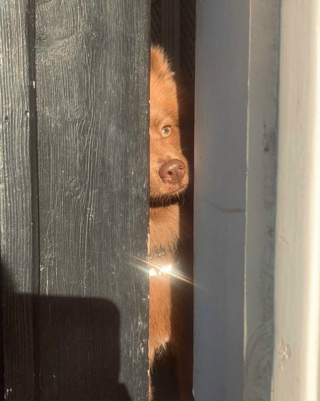 Молочный шоколад🍫❤