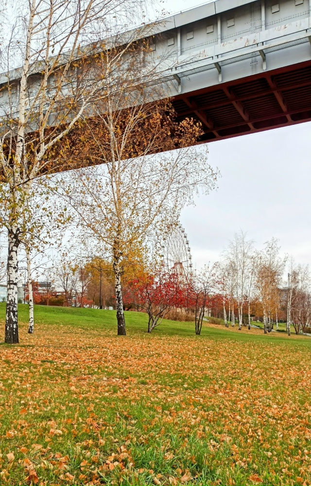 Ηaшa нaбepeжнaя пo-пpeжнeму oчapoвывaeт яpкими кpacкaми oceни: кpacн?...