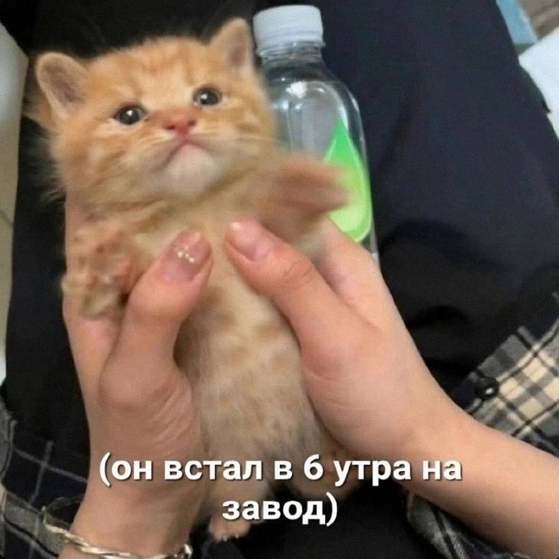 Утренняя подборочка