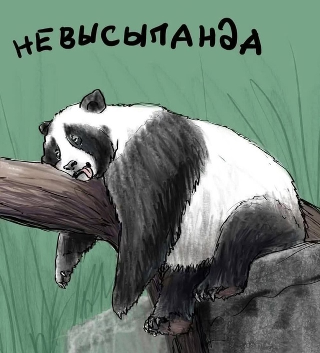 Три моих состояния: