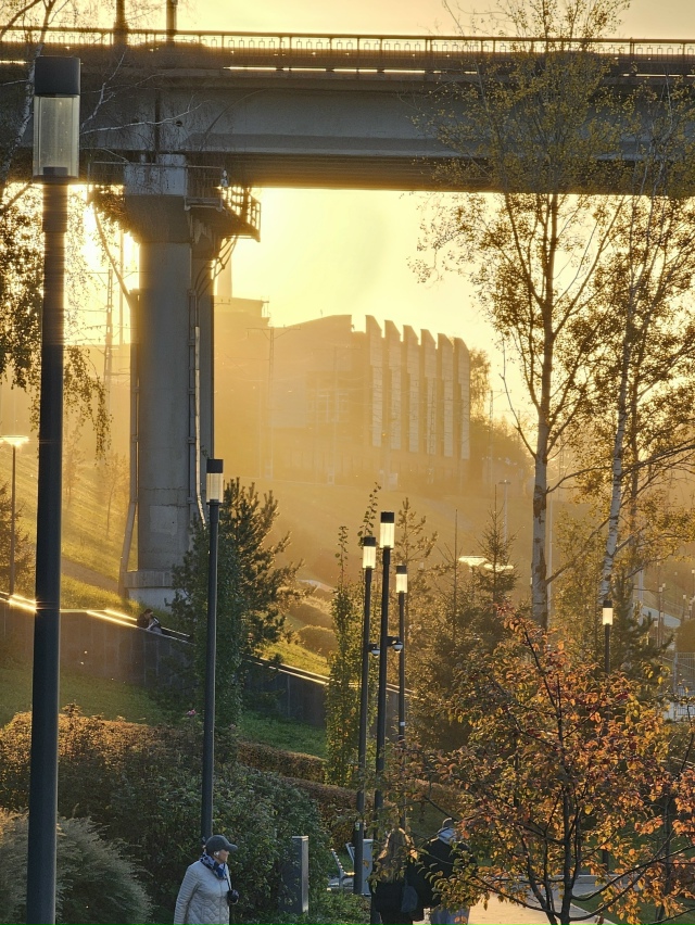 Последние лучи золотой осени ?