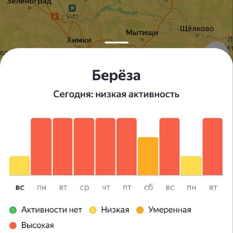 ❗️С завтрашнего дня в Москве ожидается высокий уровень пыльцы
Пыльцевой фон останется повышенным ка