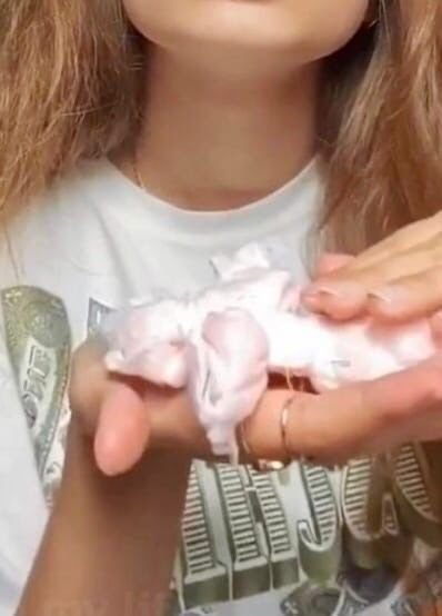 Нашла на подушке волос парня и использовала его😅