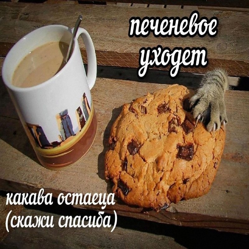 Утренняя подборочка