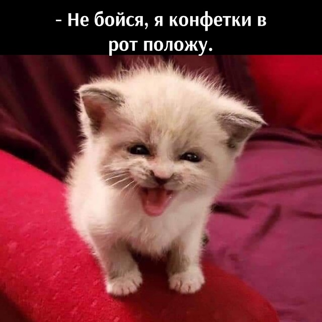 😂😂😂