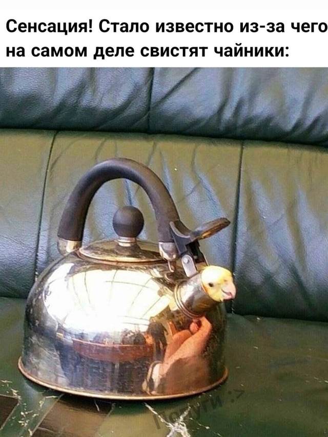 секрет раскрыт