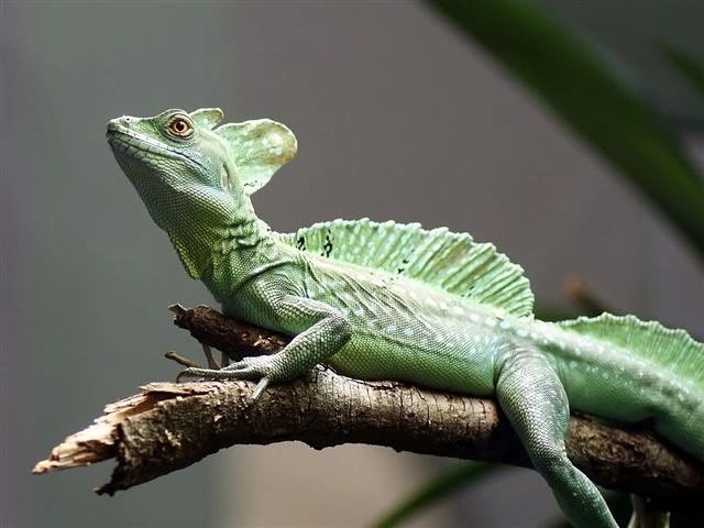 1, 2, 3 и 4 ноября в г. Тамбов в ТРЦ Рио с 10-00 до 20-00 пройдёт с...