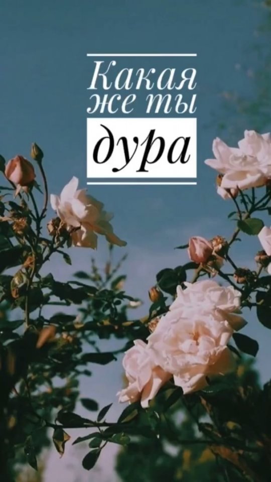 Типичные фразы родителей, после разрыва отношений😂