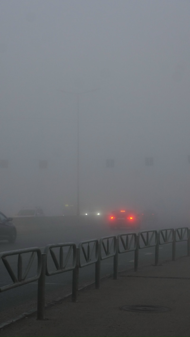 Утро 8 октября. ул. Спешилова.