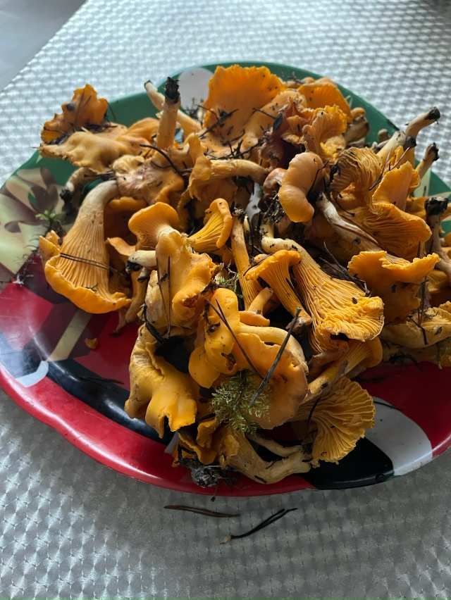 Вот такое 27 октября 😍
Фото своего улова поделилась ве...