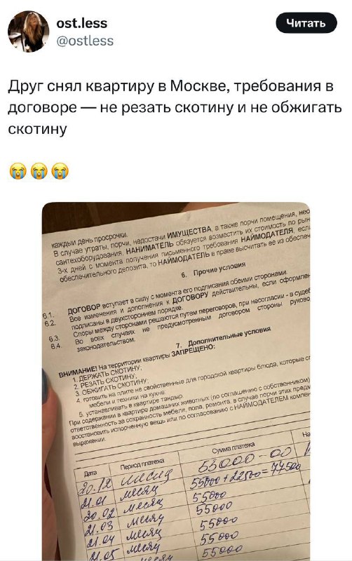 😂 Предыдущие жильцы явно впечатлили арендодателя
