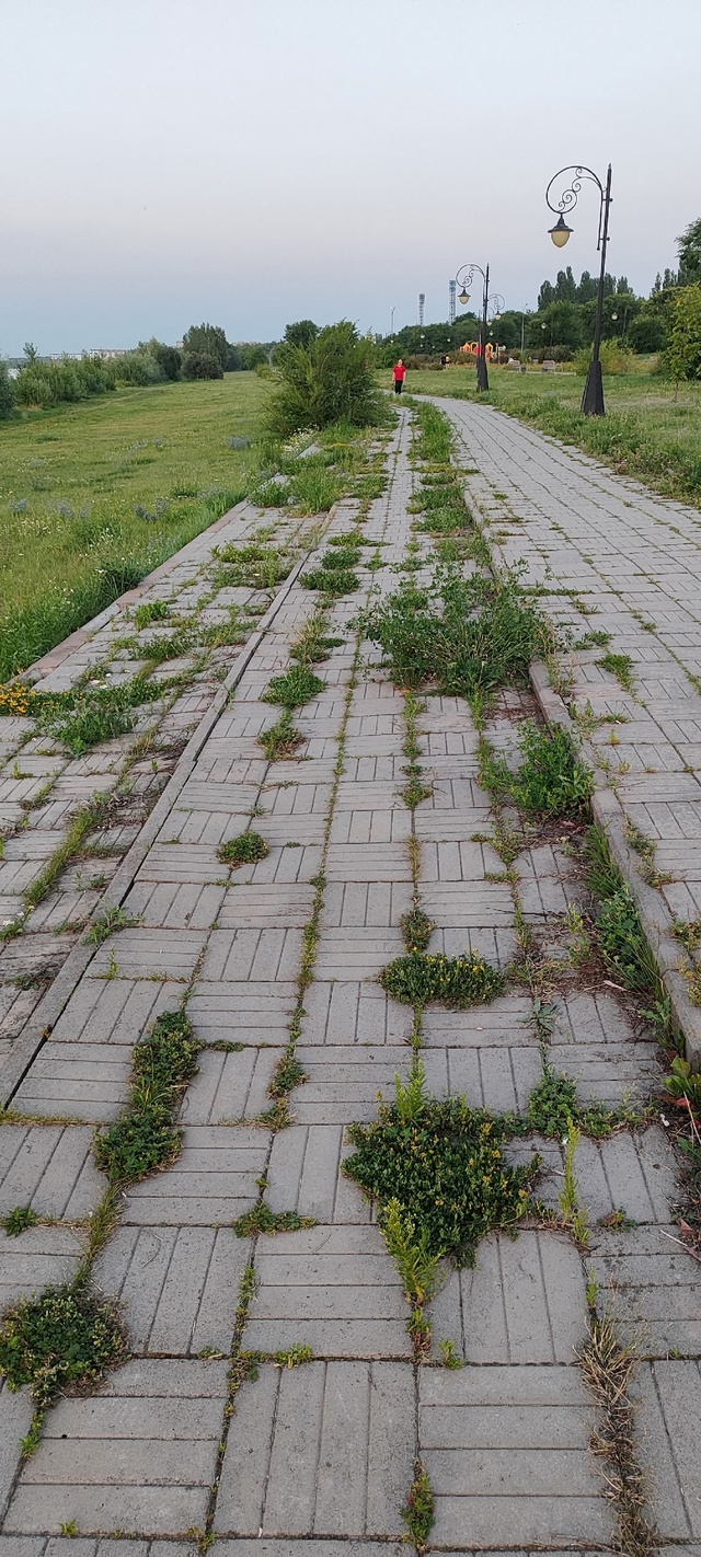 В продолжении темы боль Курчатова. Вчера вышел с семьё?...