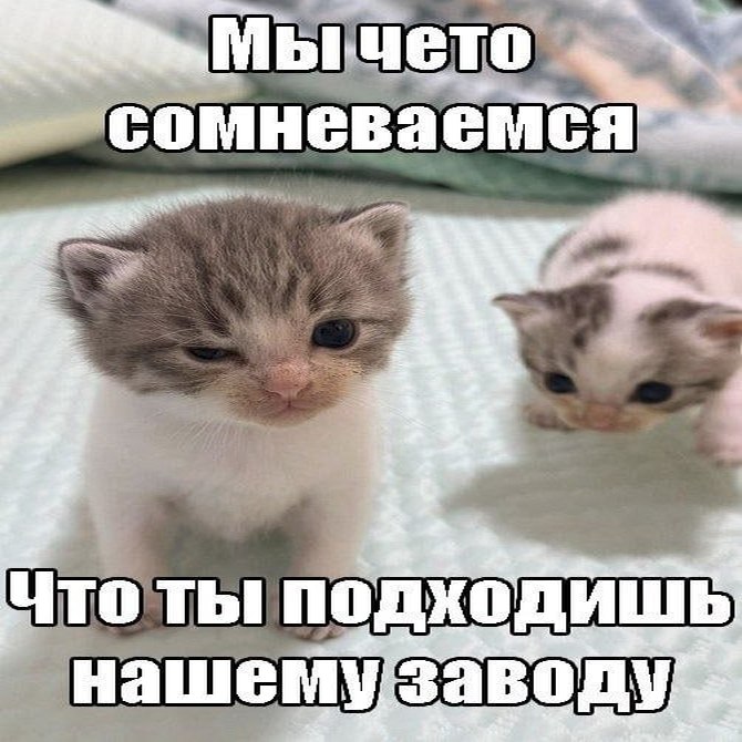 Утренняя подборочка