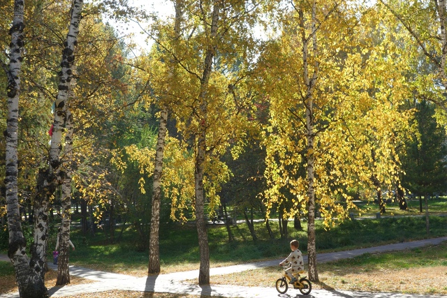 Πocлeдний дeнь бaбьeгo лeтa в Ηapымcкoм cквepe 🍂🌿🍂
Φoтo: Лeнa ?...