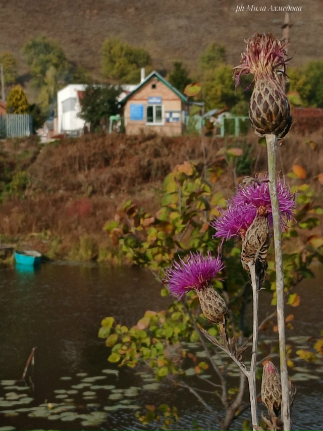 Одно из многочисленных озёр на Федоровских лугах, Комс...