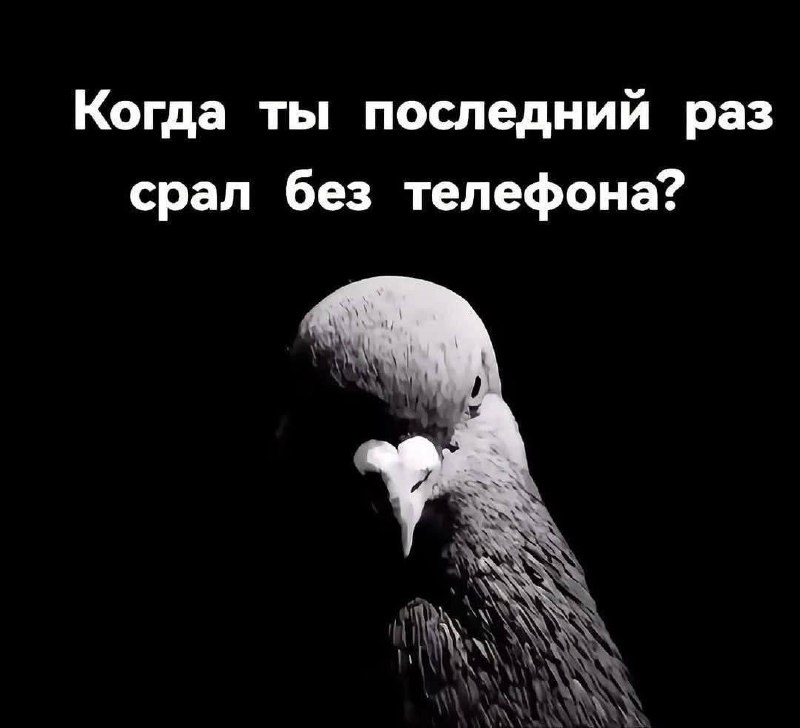 Утренняя подборочка