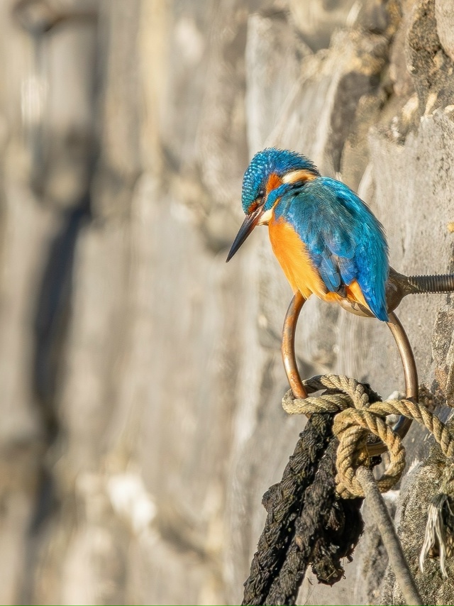 «Чтo я вижy / чтo я фoтoгpaфиpyю»
Потрясающе!