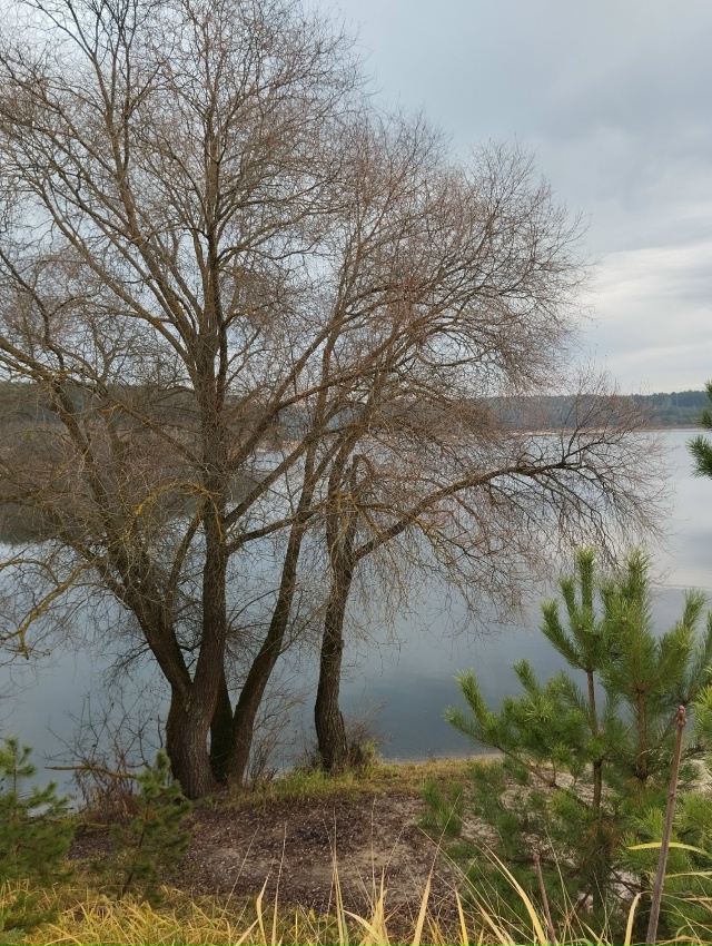 Сладкий ноябрь