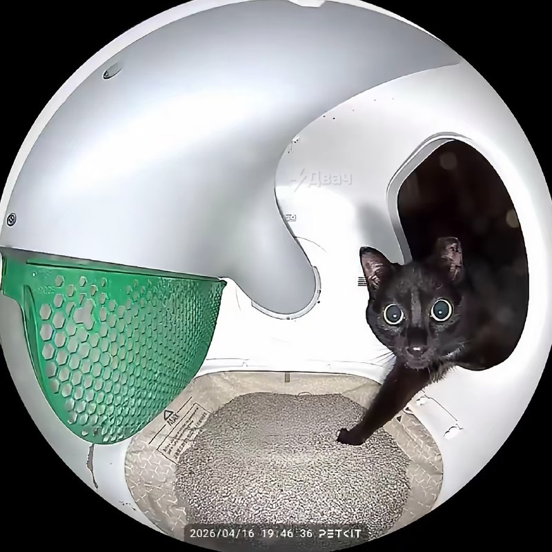 Вас заметили