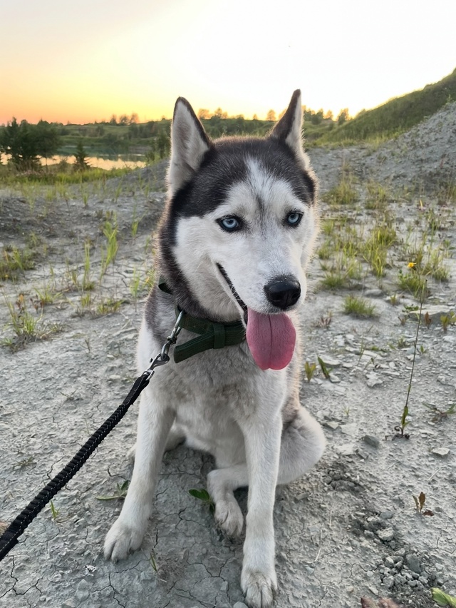 С частного сектора по улице Ручейной (район Нагорная-С?...