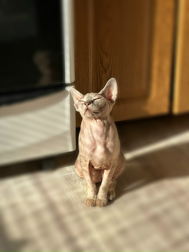 Моя лыси попи Тамара!