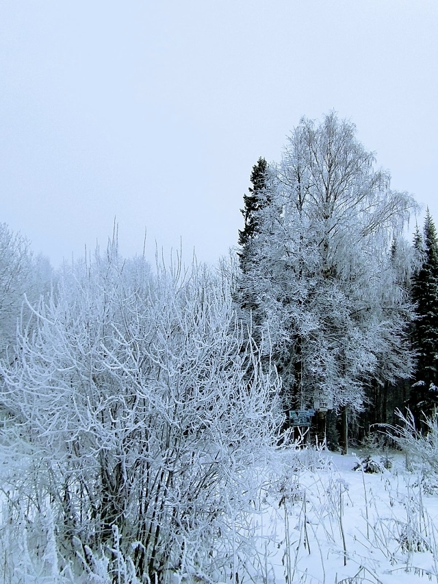 Пермский край
Автор фото Татьяна Шмонова