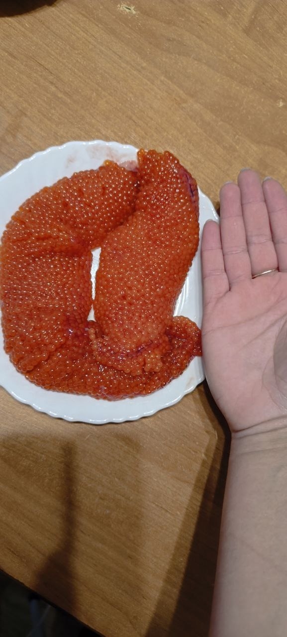 ❗️❗️❗️ВНИМАНИЕ❗️❗️❗️
❣️❣️❣️ОБЪЯВЛЯЕМ НОВЫЙ...