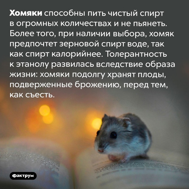 Подборка интересных фактов.