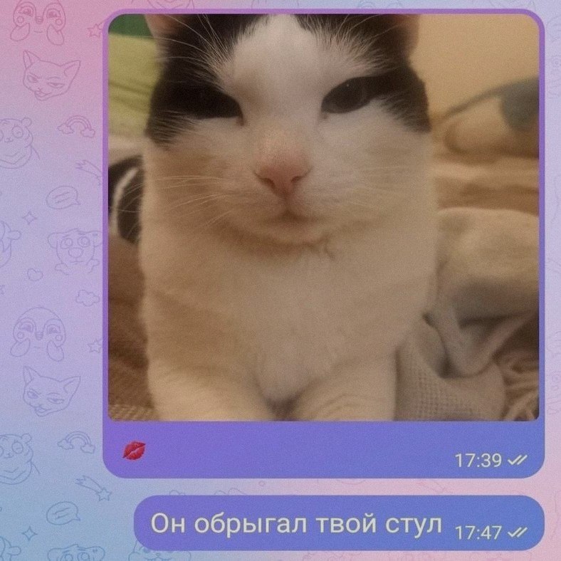 Ночная подборочка
Выходные, не спим