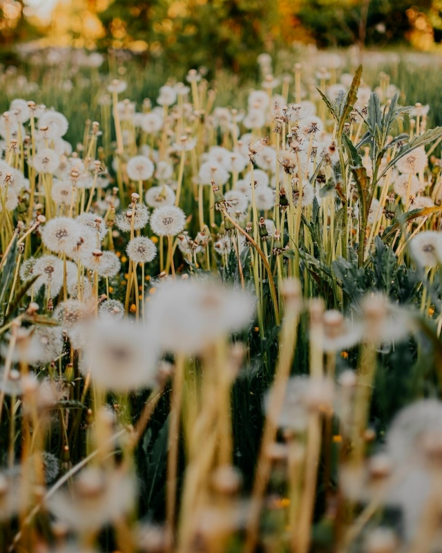 Секрет счастливой жизни в том, чтобы каждый день влюбл?...