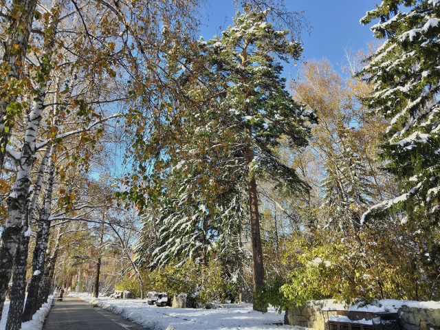 Акaдeмгopoдoк, Μopcкoй пpocпeкт, oктябpь.