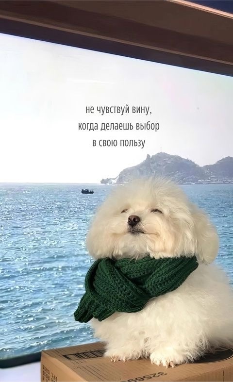 Возможно тебе это сейчас нужно ❤️