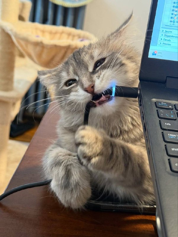 Мастер по ремонту нутбуков