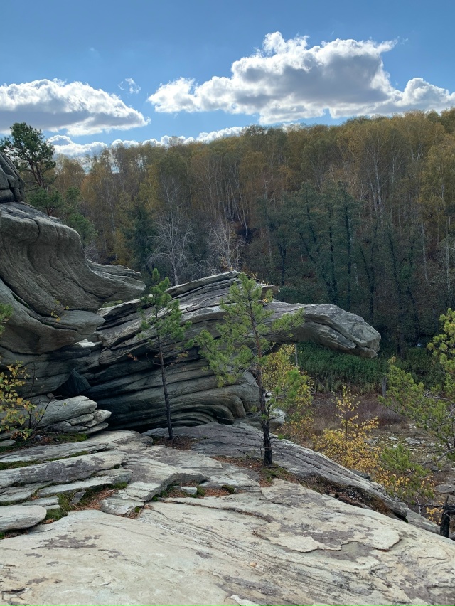 ? В Карагайском бору у реки Губерля — настоящая приро...