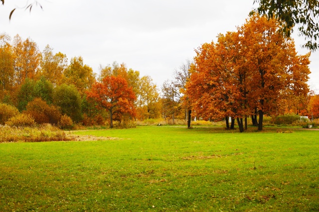 Осенний Петергоф. Фото: Анастасия Смирнова.