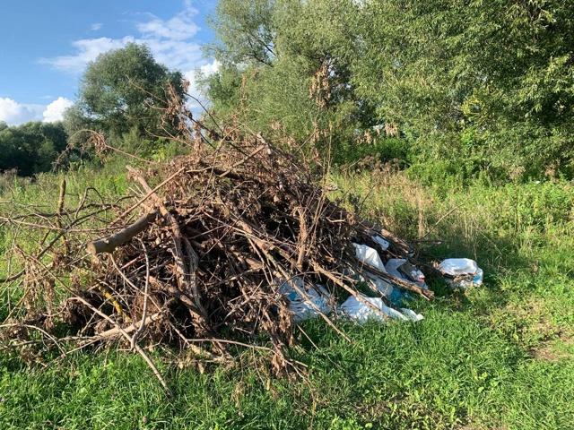 25 июля приезжали волонтёры на берег Оки, акатьевский з?...