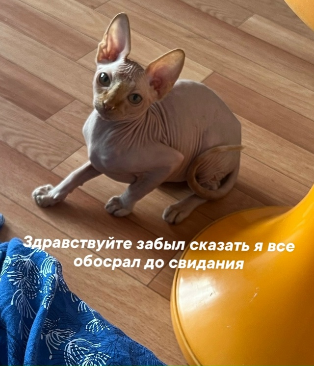 Совсем недавно Владимиру миновало 4 месяца.
Про всрато...