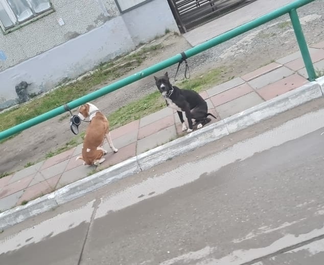 Хочу обсудить вместе. Сразу говорю покусали не меня,но ...