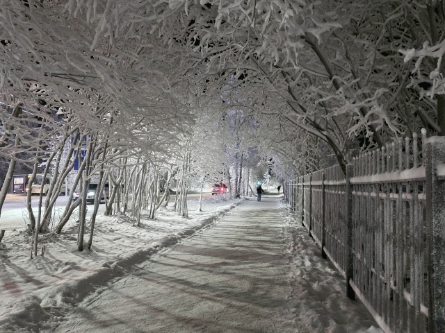 ✨️Очарование зимнего вечера