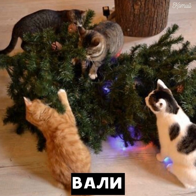 Скоро во всех квартирах страны ? ? ?