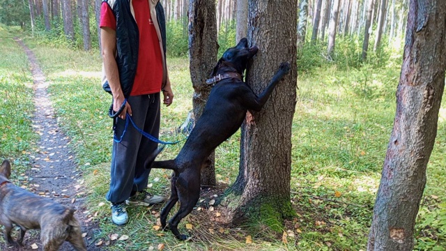 Доброго время суток всем, Помогите пристроить квартир?...